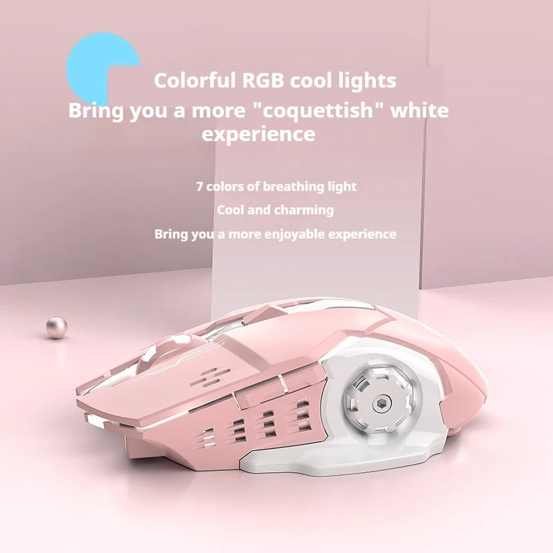 S087ee8191b444a6288805204fe246af0b